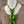 Load image into Gallery viewer, NT300- Green Necklace
