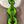 Load image into Gallery viewer, NT300- Green Necklace
